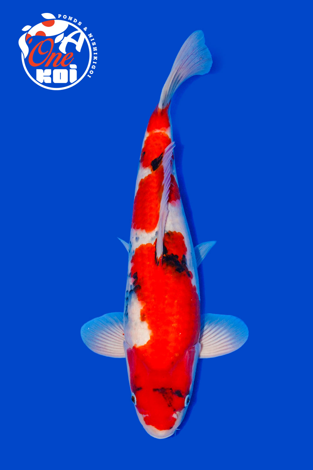 PHOTO-2025-11-06-02-57-09