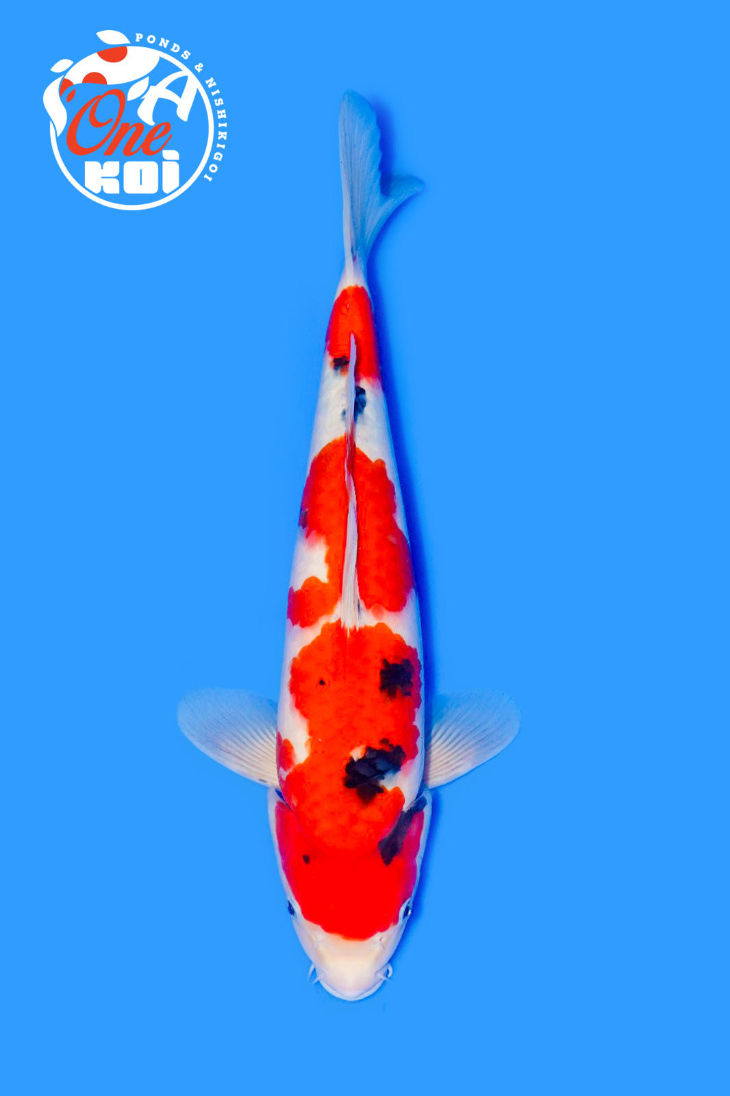 PHOTO-2025-11-06-02-57-15