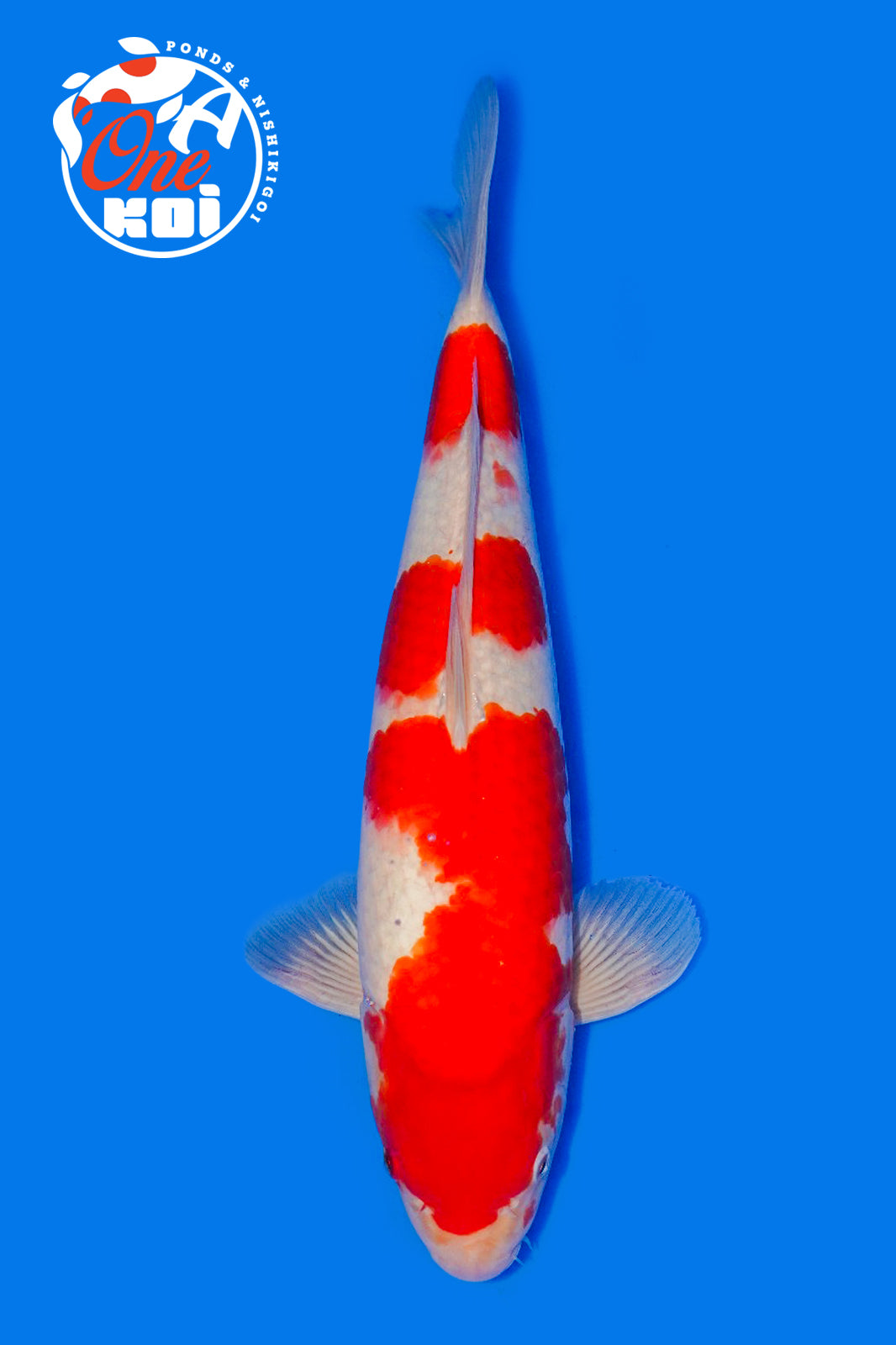 PHOTO-2025-11-06-02-57-19 (2)