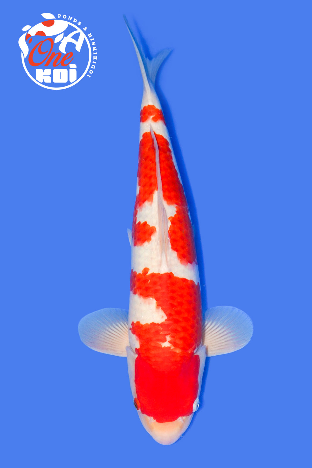 PHOTO-2025-11-06-02-57-20