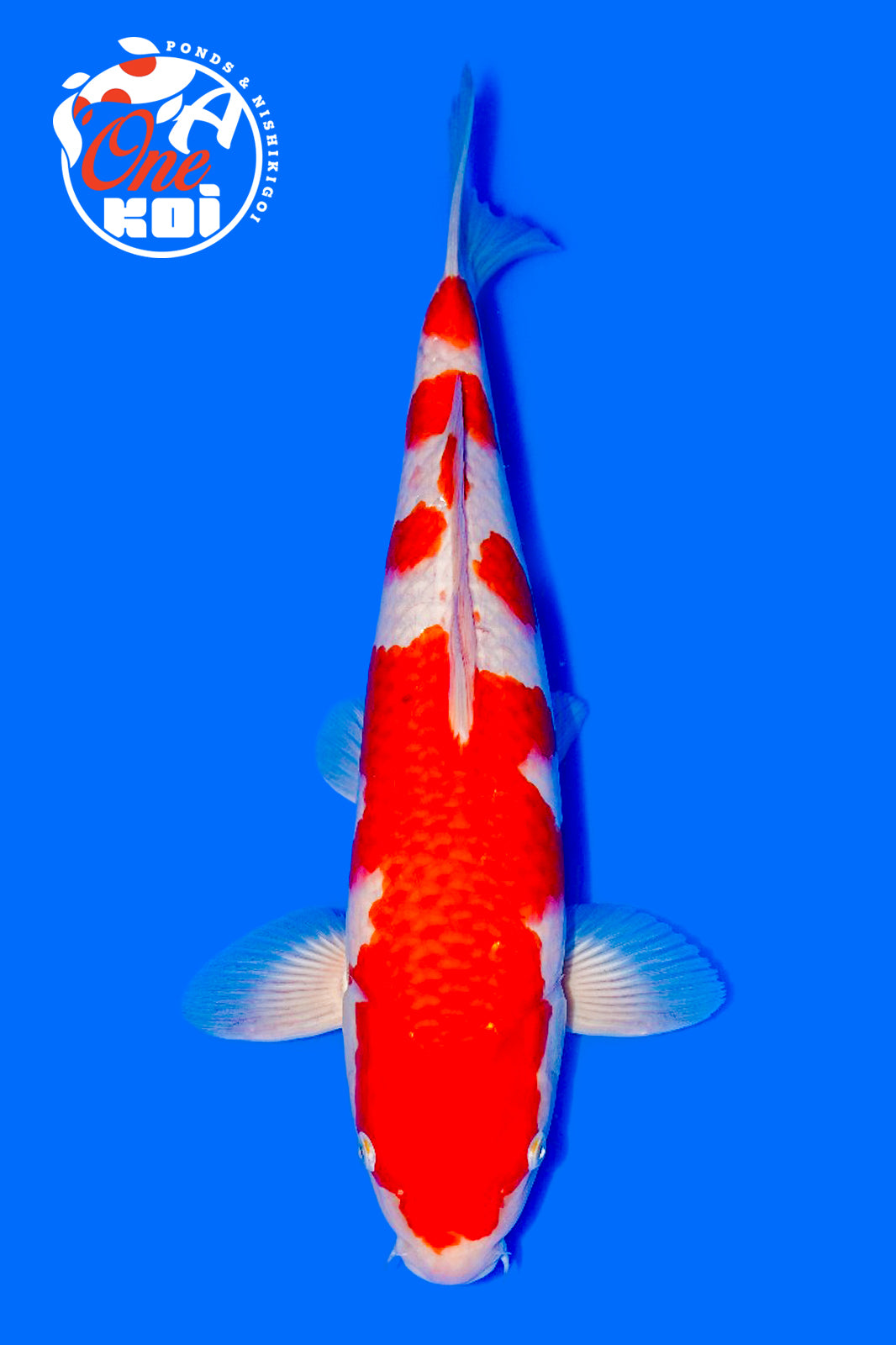 PHOTO-2025-11-06-02-57-21 (5)