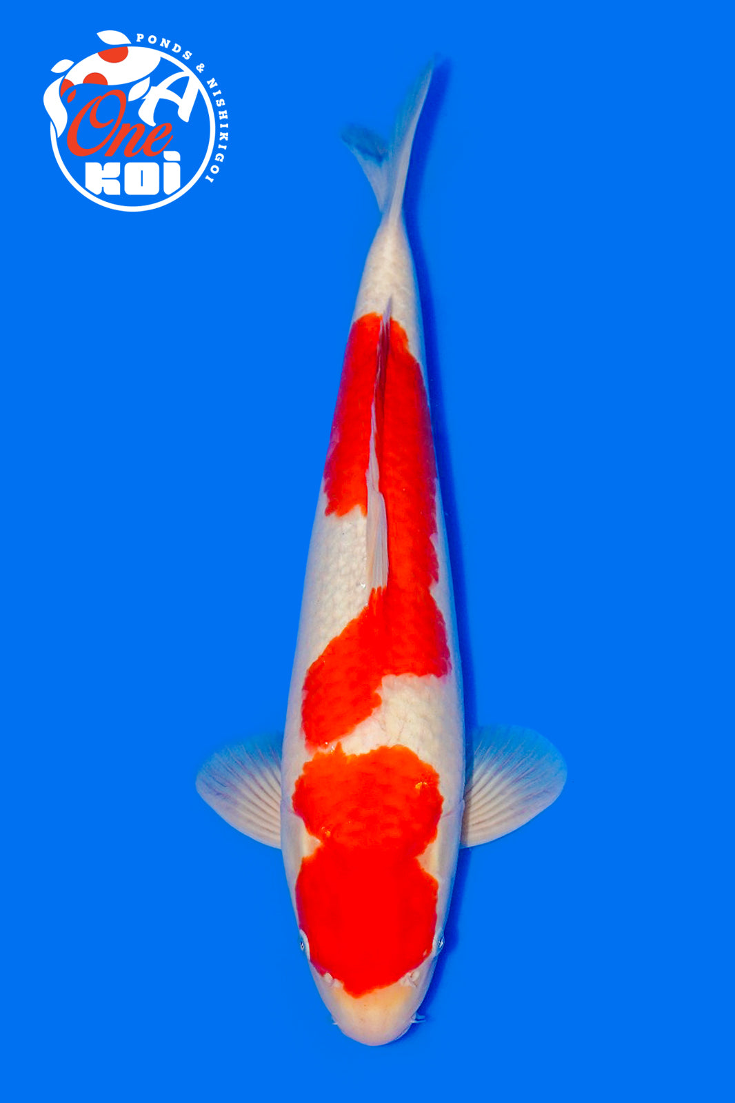 PHOTO-2025-11-06-02-57-24