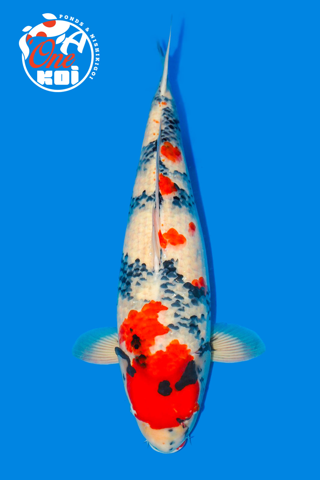 PHOTO-2025-11-09-22-01-43 (1)