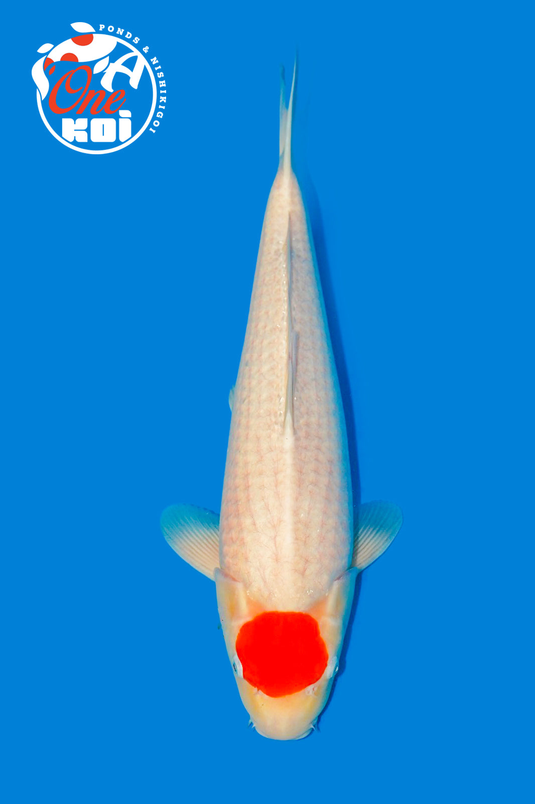 PHOTO-2025-11-09-22-01-43 (2)