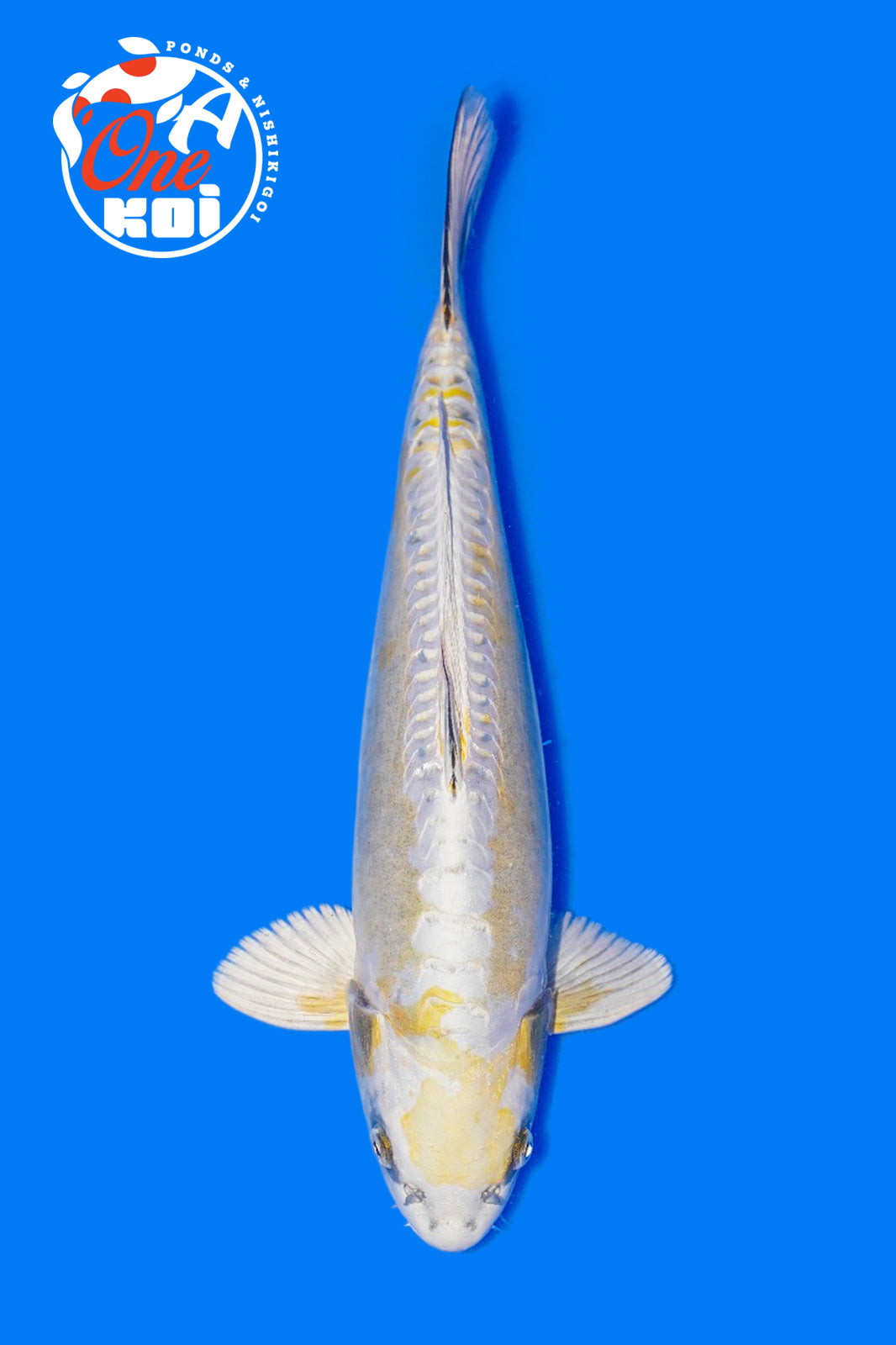 PHOTO-2025-11-06-02-45-22 (2)