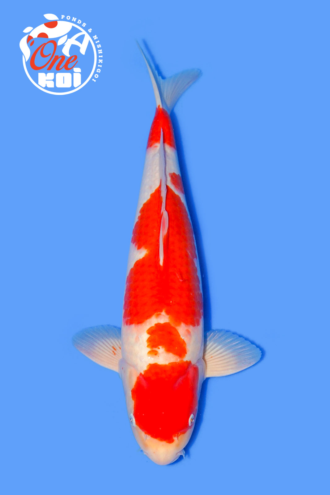 PHOTO-2025-11-06-02-57-05 (1)