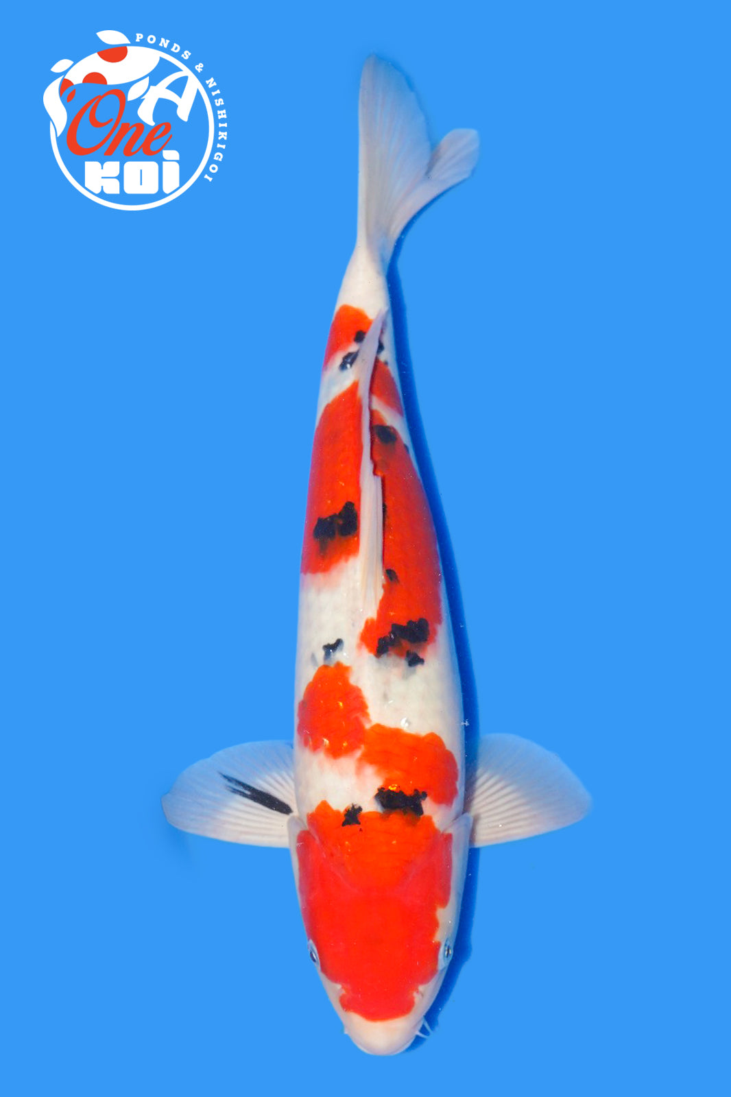 PHOTO-2025-11-06-02-57-05 (2)