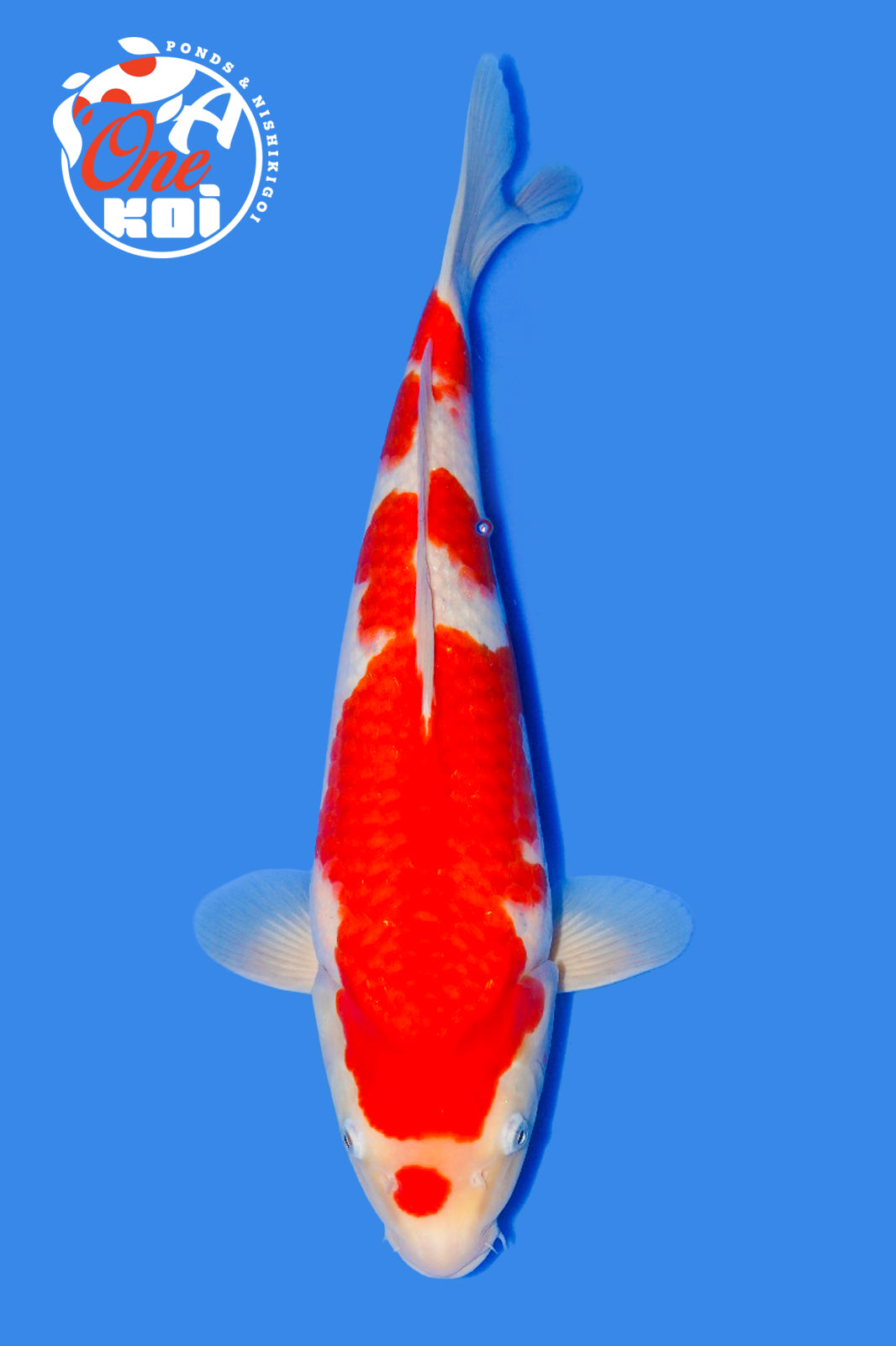 PHOTO-2025-11-06-02-57-12 (2)