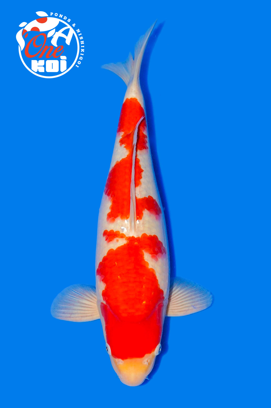 PHOTO-2025-11-06-02-57-14