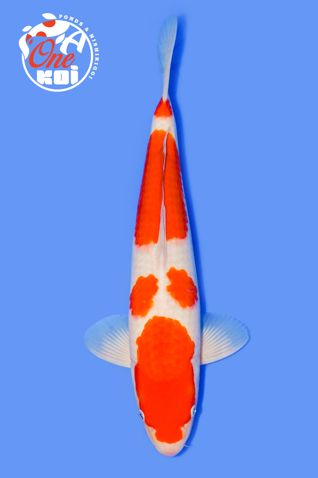 PHOTO-2025-11-06-02-57-21 (2)